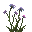 Taublüte.png